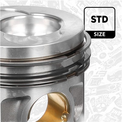 ET ENGINETEAM PM009500 Číslo výrobce: oe. EAN: 8592779027217.