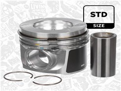 ET ENGINETEAM PM010600