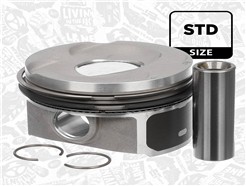 ET ENGINETEAM PM012300