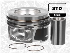 ET ENGINETEAM PM014000