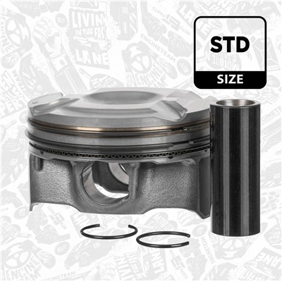 ET ENGINETEAM PM016000