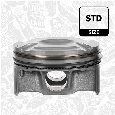 ET ENGINETEAM PM016000