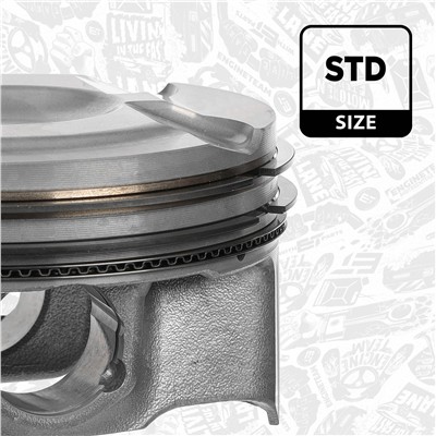 ET ENGINETEAM PM016000