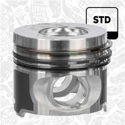 ET ENGINETEAM PM016100