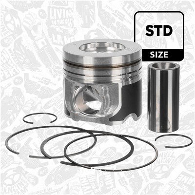 ET ENGINETEAM PM016200