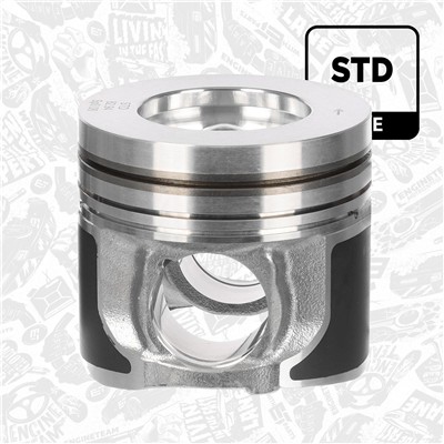 ET ENGINETEAM PM016200