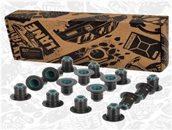 ET ENGINETEAM TM0060