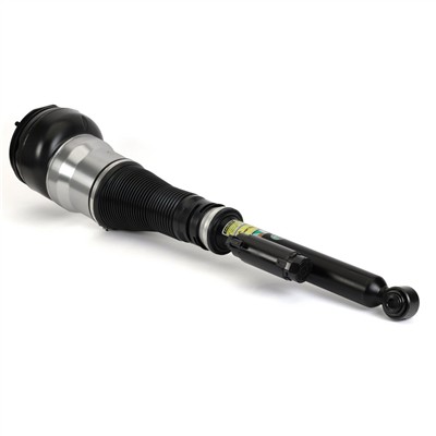 Arnott AS-3463 EAN: 815710020305.