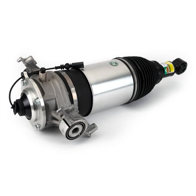 Arnott ASE-4376 Číslo výrobce: AS-3167. EAN: 815710029445.