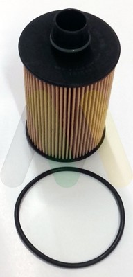 MOTAQUIP LVFL806 EAN: 5056025207936.