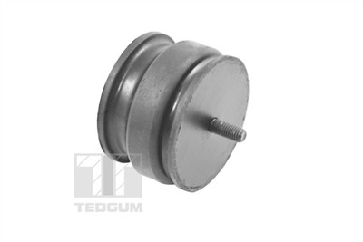 TEDGUM 00221175 EAN: 5908229900345.