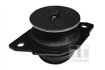 TEDGUM 00725600 EAN: 5908229977224.