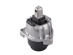 TEDGUM TED52401
