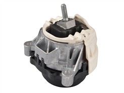 TEDGUM TED55453