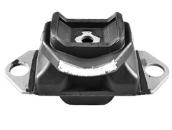 TEDGUM TED81181
