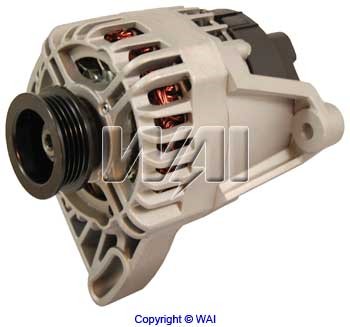 WAI 24062N