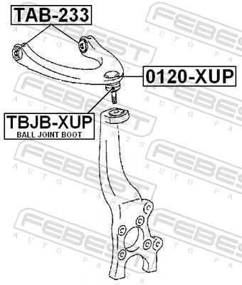 FEBEST 0120-XUP EAN: 4056111021706.