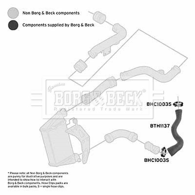 BORG & BECK BTH1137 EAN: 5055807764155.