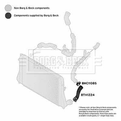 BORG & BECK BTH1224 EAN: 5055807765022.
