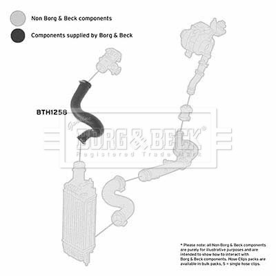 BORG & BECK BTH1258 EAN: 5055807765367.