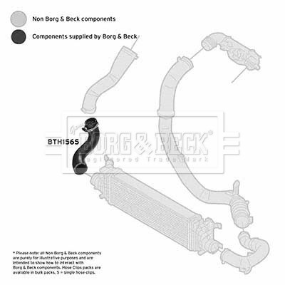 BORG & BECK BTH1565 EAN: 5055936609372.