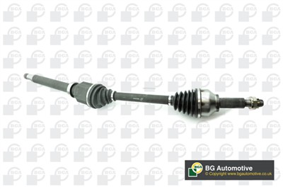 BGA DS2318R EAN: 5038206316231.