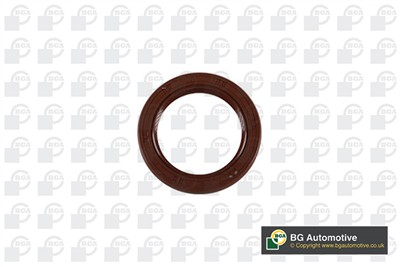 BGA OS1339 EAN: 5038205514171.