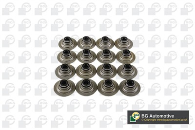 BGA VK5343 EAN: 5038205463912.