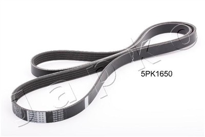 JAPKO 5PK1650 EAN: 8033001779882.