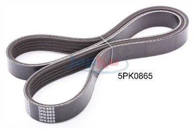 JAPKO 5PK865 EAN: 8033001527315.