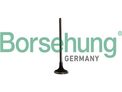 Borsehung B10334