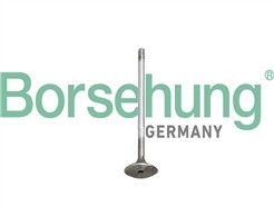 Borsehung B10345