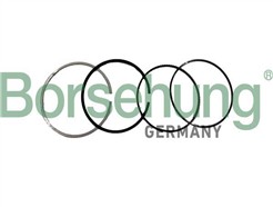 Borsehung B10371