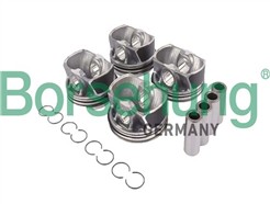 Borsehung B11147