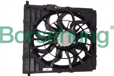 Borsehung B11273