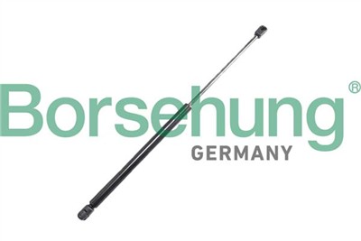 Borsehung B12063