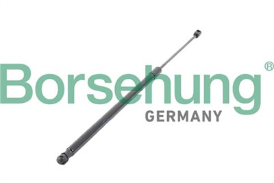 Borsehung B12064