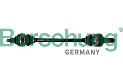 Borsehung B12485