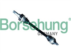Borsehung B12489
