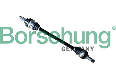 Borsehung B12490