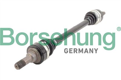 Borsehung B12491