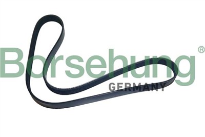 Borsehung B12501