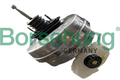 Borsehung B12537