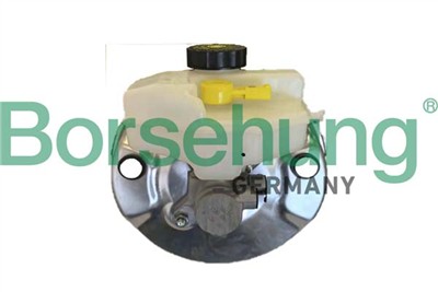 Borsehung B12538