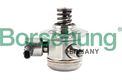 Borsehung B12582
