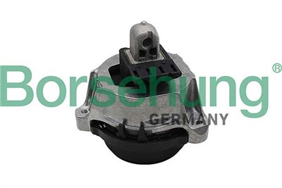Borsehung B12614