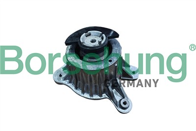 Borsehung B12647