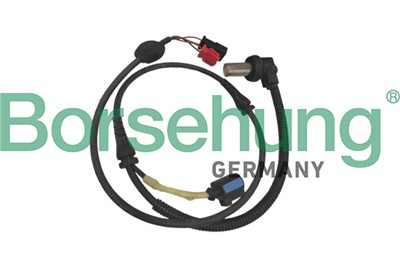 Borsehung B12863