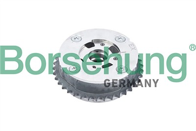 Borsehung B12993