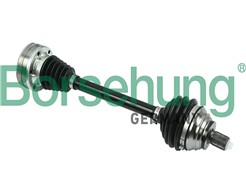Borsehung B18359